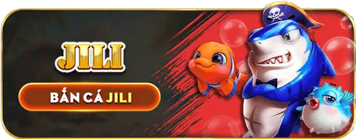 Hình ảnh minh họa các câu hỏi chung về 6686bet